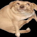 Swiftimus